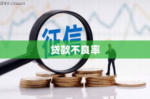 盐城贷款不良率