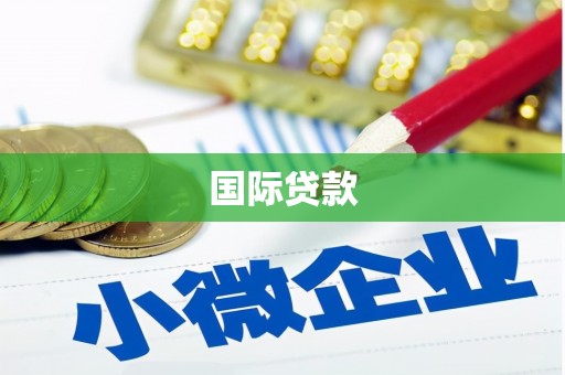 盐城国际贷款
