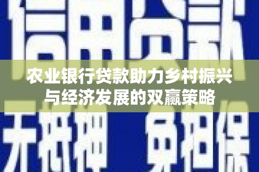 盐城农业银行贷款助力乡村振兴与经济发展的双赢策略