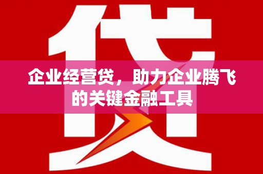 盐城企业经营贷，助力企业腾飞的关键金融工具