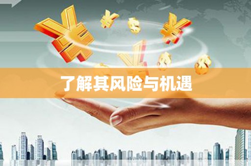 盐城了解其风险与机遇