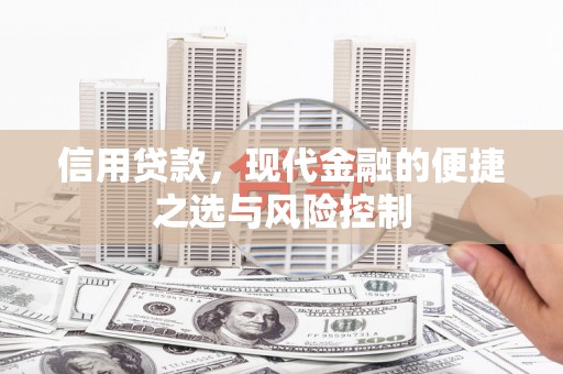 盐城信用贷款，现代金融的便捷之选与风险控制