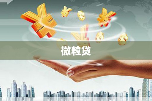 盐城微粒贷