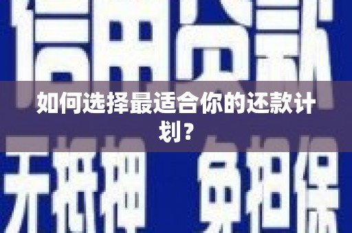 盐城如何选择最适合你的还款计划？