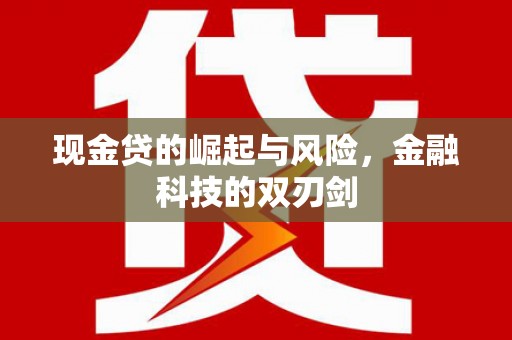 盐城现金贷的崛起与风险，金融科技的双刃剑
