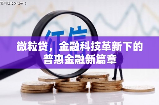 盐城微粒贷，金融科技革新下的普惠金融新篇章