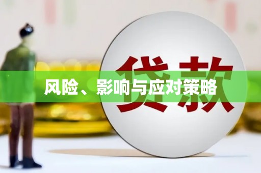 盐城风险、影响与应对策略