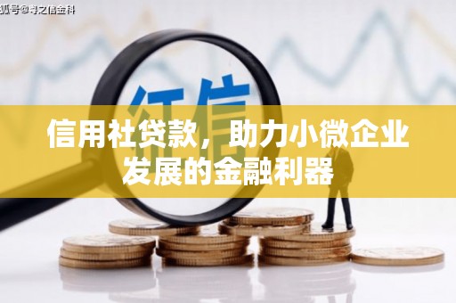 盐城信用社贷款，助力小微企业发展的金融利器