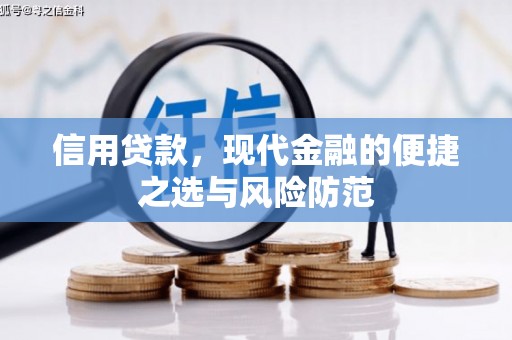 盐城信用贷款，现代金融的便捷之选与风险防范