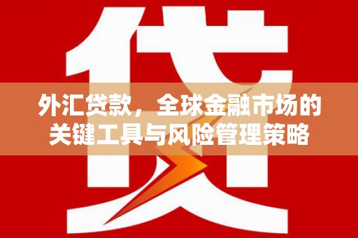 盐城外汇贷款，全球金融市场的关键工具与风险管理策略