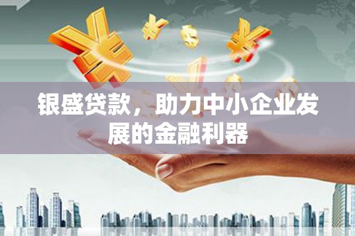 盐城银盛贷款，助力中小企业发展的金融利器
