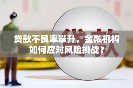 盐城贷款不良率攀升，金融机构如何应对风险挑战？