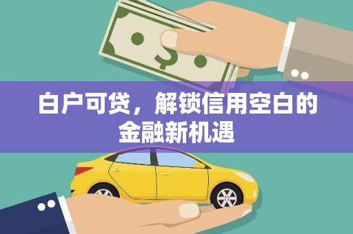 盐城白户可贷，解锁信用空白的金融新机遇