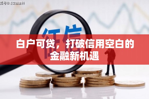盐城白户可贷，打破信用空白的金融新机遇