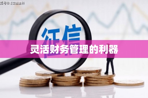 盐城灵活财务管理的利器
