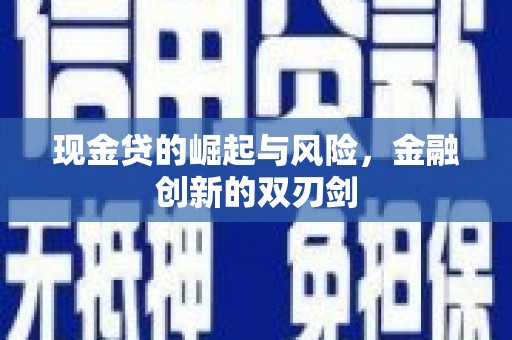 盐城现金贷的崛起与风险，金融创新的双刃剑