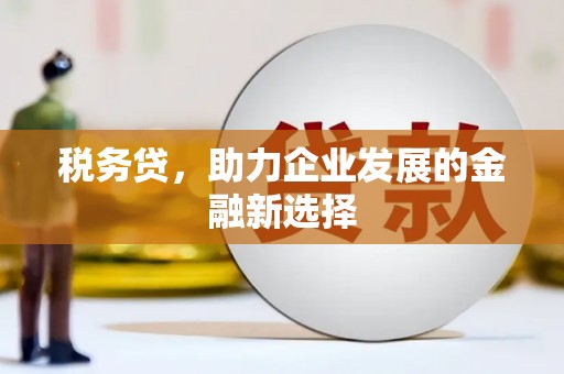 盐城税务贷，助力企业发展的金融新选择