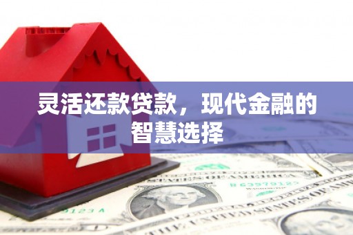 盐城灵活还款贷款，现代金融的智慧选择