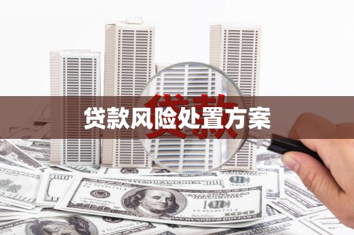 盐城贷款风险处置方案