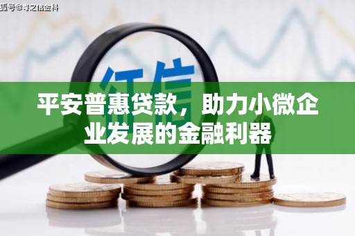 盐城平安普惠贷款，助力小微企业发展的金融利器