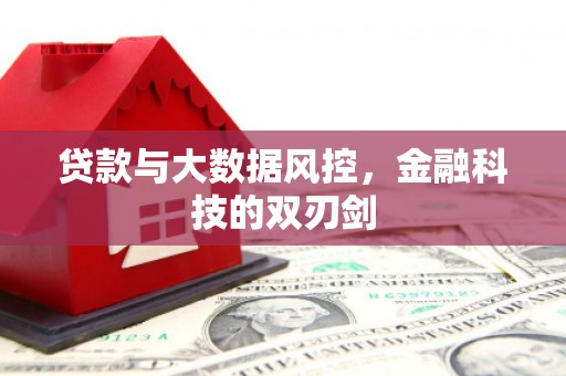 盐城贷款与大数据风控，金融科技的双刃剑