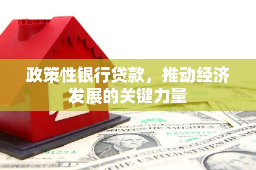 盐城政策性银行贷款，推动经济发展的关键力量