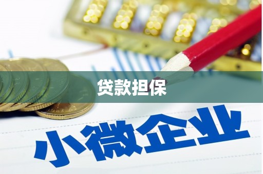 盐城贷款担保