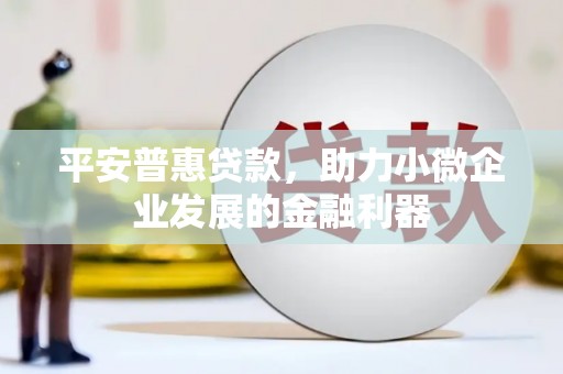 盐城平安普惠贷款，助力小微企业发展的金融利器