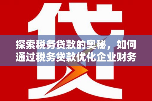 盐城探索税务贷款的奥秘，如何通过税务贷款优化企业财务