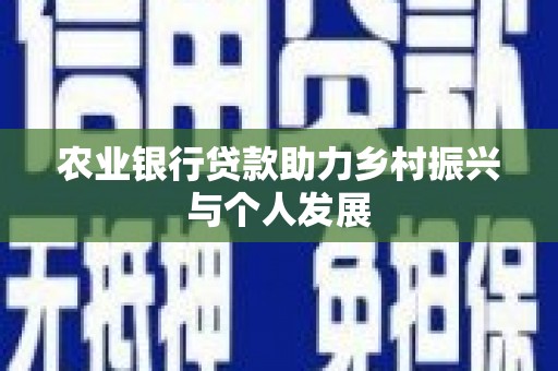 盐城农业银行贷款助力乡村振兴与个人发展