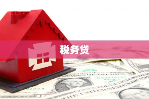 盐城税务贷