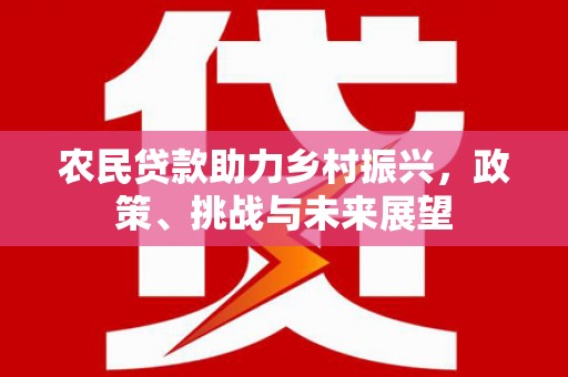 盐城农民贷款助力乡村振兴，政策、挑战与未来展望