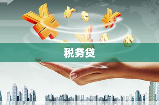 盐城税务贷