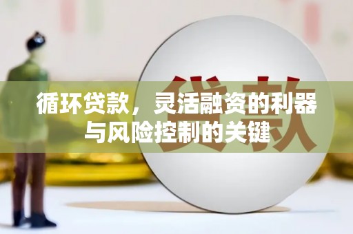 盐城循环贷款，灵活融资的利器与风险控制的关键