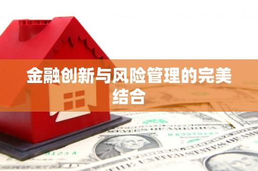 盐城金融创新与风险管理的完美结合