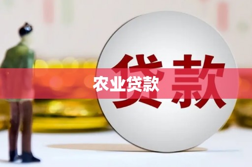 盐城农业贷款