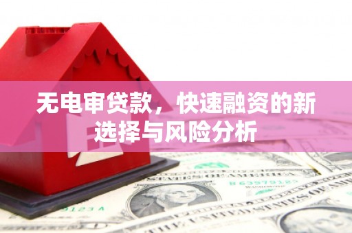 盐城无电审贷款，快速融资的新选择与风险分析