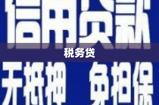 盐城税务贷