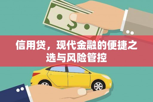 盐城信用贷，现代金融的便捷之选与风险管控