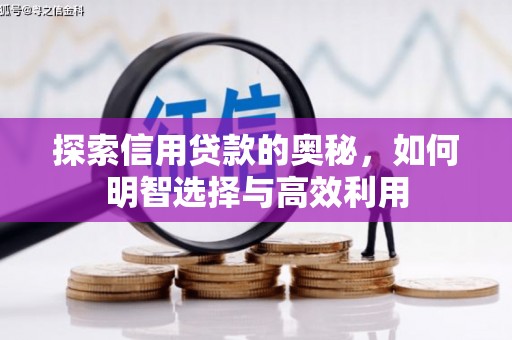 盐城探索信用贷款的奥秘，如何明智选择与高效利用