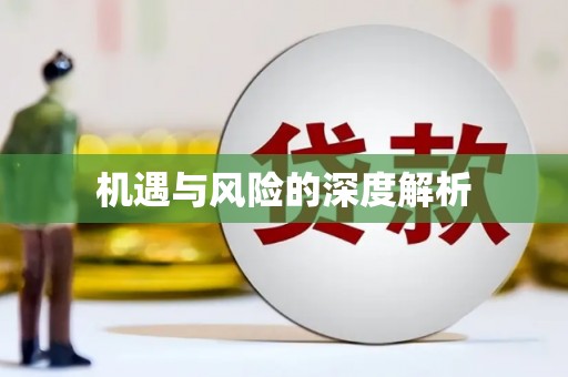 盐城机遇与风险的深度解析