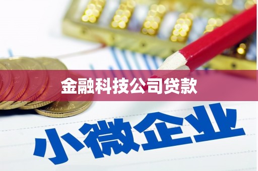 盐城金融科技公司贷款