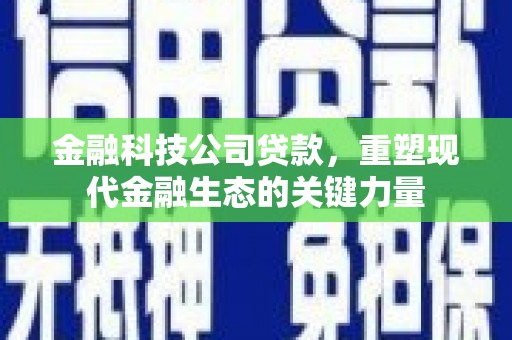 盐城金融科技公司贷款，重塑现代金融生态的关键力量