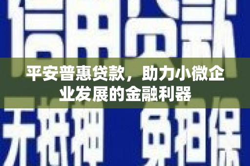 盐城平安普惠贷款，助力小微企业发展的金融利器