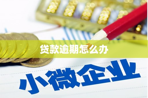 盐城贷款逾期怎么办