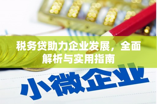 盐城税务贷助力企业发展，全面解析与实用指南