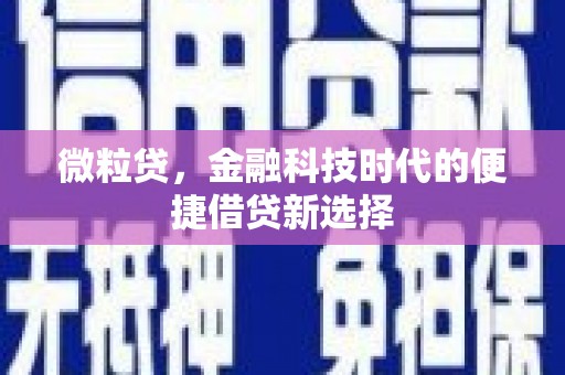 盐城微粒贷，金融科技时代的便捷借贷新选择