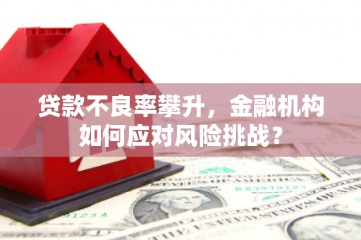 盐城贷款不良率攀升，金融机构如何应对风险挑战？