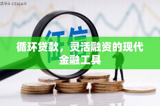 盐城循环贷款，灵活融资的现代金融工具