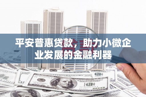 盐城平安普惠贷款，助力小微企业发展的金融利器